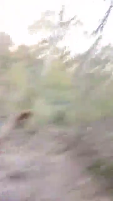 Mallu Villege Bhabi Outdoor Fucked by Devar