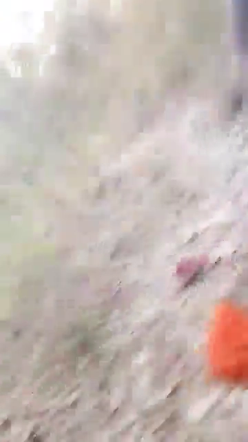 Mallu Villege Bhabi Outdoor Fucked by Devar