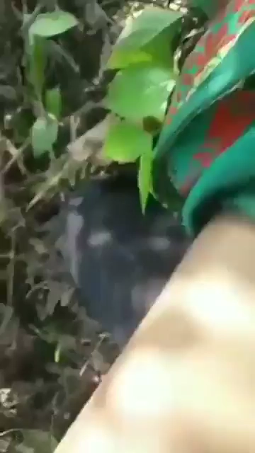 Manipuri College Girl Caught in Park by Local Guys