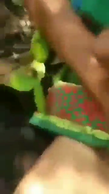 Manipuri College Girl Caught in Park by Local Guys