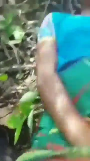 Manipuri College Girl Caught in Park by Local Guys