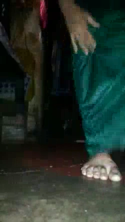 Horny Village Girl Amazing Desi Pussy Show MMS Video