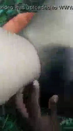 Dehati Outdoor Nude MMS Video