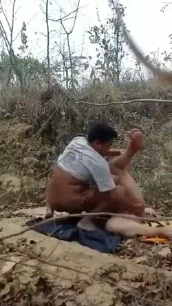 Incest Couple Desi Forest Sex Video