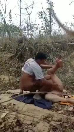 Incest Couple Desi Forest Sex Video