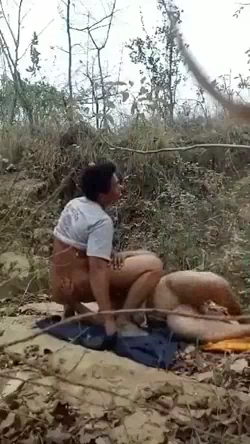 Incest Couple Desi Forest Sex Video