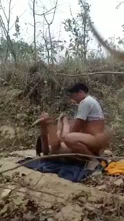 Incest Couple Desi Forest Sex Video
