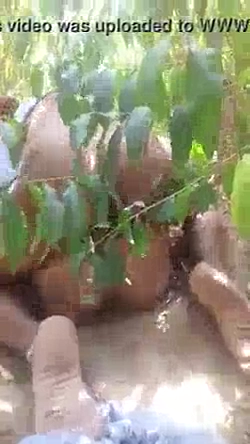 Desi Wife Sharing Outdoors MMS Video Scandal