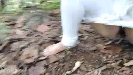 Outdoors Desi Pussy Porn Video