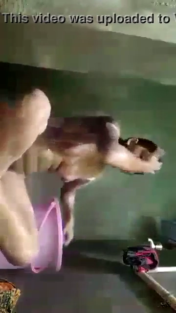 Sexy Girl Nude Bath Video Would Tempt You to Masturbate