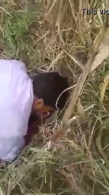 Dehati Bhabhi Sharing Sex in the Outdoors MMS Video