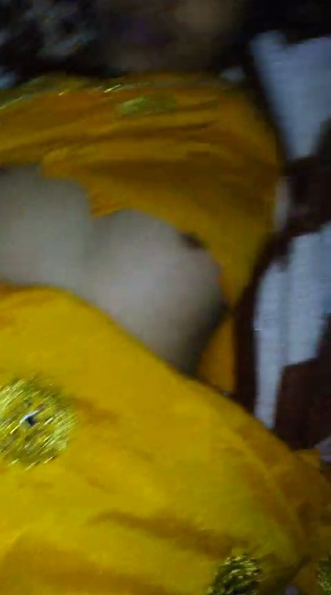 Dense Hairy Pussy Fucking Video Exposed