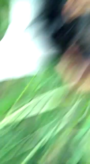 Hardcore Desi Pussy Sex Homemade Video