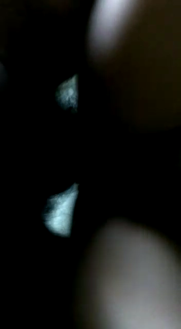 Hardcore South Indian Sex Video