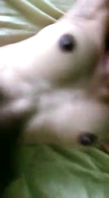 Hardcore South Indian Sex Video